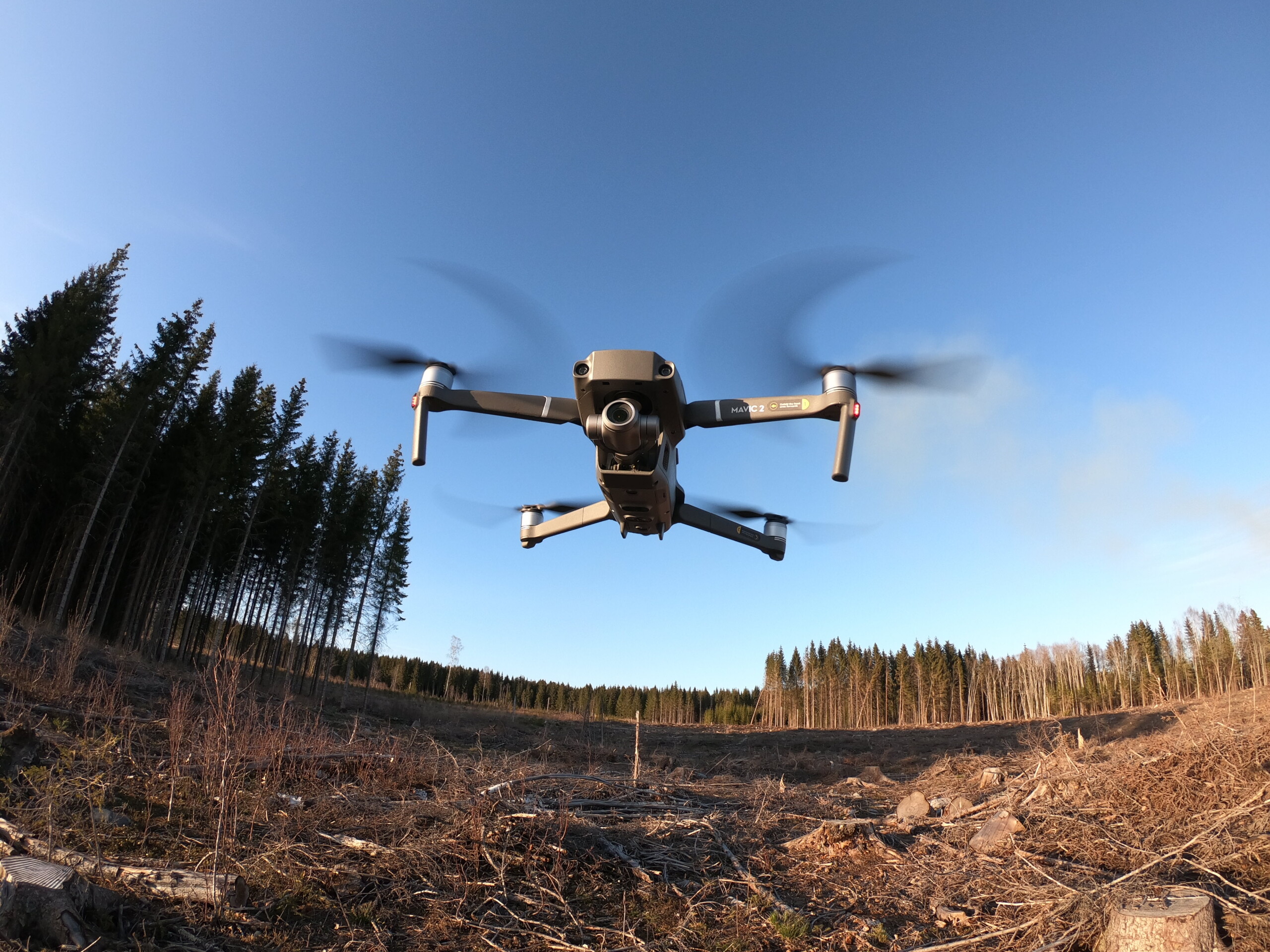 Drone i skogsfelt