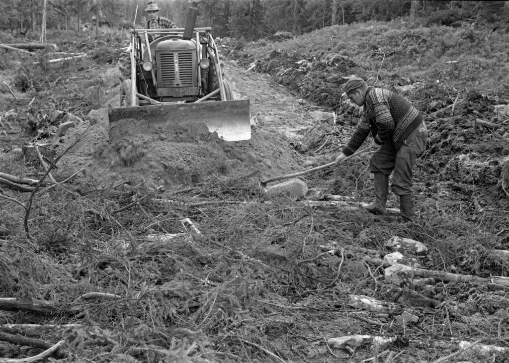 Vegbygging på fuktig mark i Treschow Fritzøes skoger i 1964. Her ser vi to menn og en traktor i aktivitet ved det som på dette tidspunktet var fronten i vegprosjektet. Fotografiet viser hvordan man hadde lagt hogstavfall – småtrær og kvist – i det som skulle bli veglinja, for å gi bedre bæring for de massene vegen skulle bygges av. Disse massene ble skjøvet på plass ved hjelp av en David Brown-traktor med frontmontert skjær med bistand fra en mann med krafse.