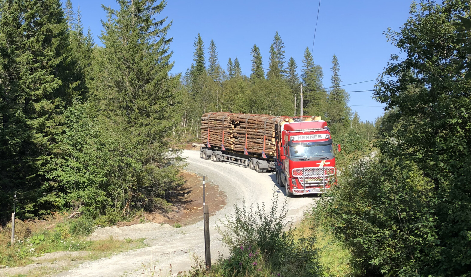 Skogsbilvei med tømmerbil fyllt med tømmer.