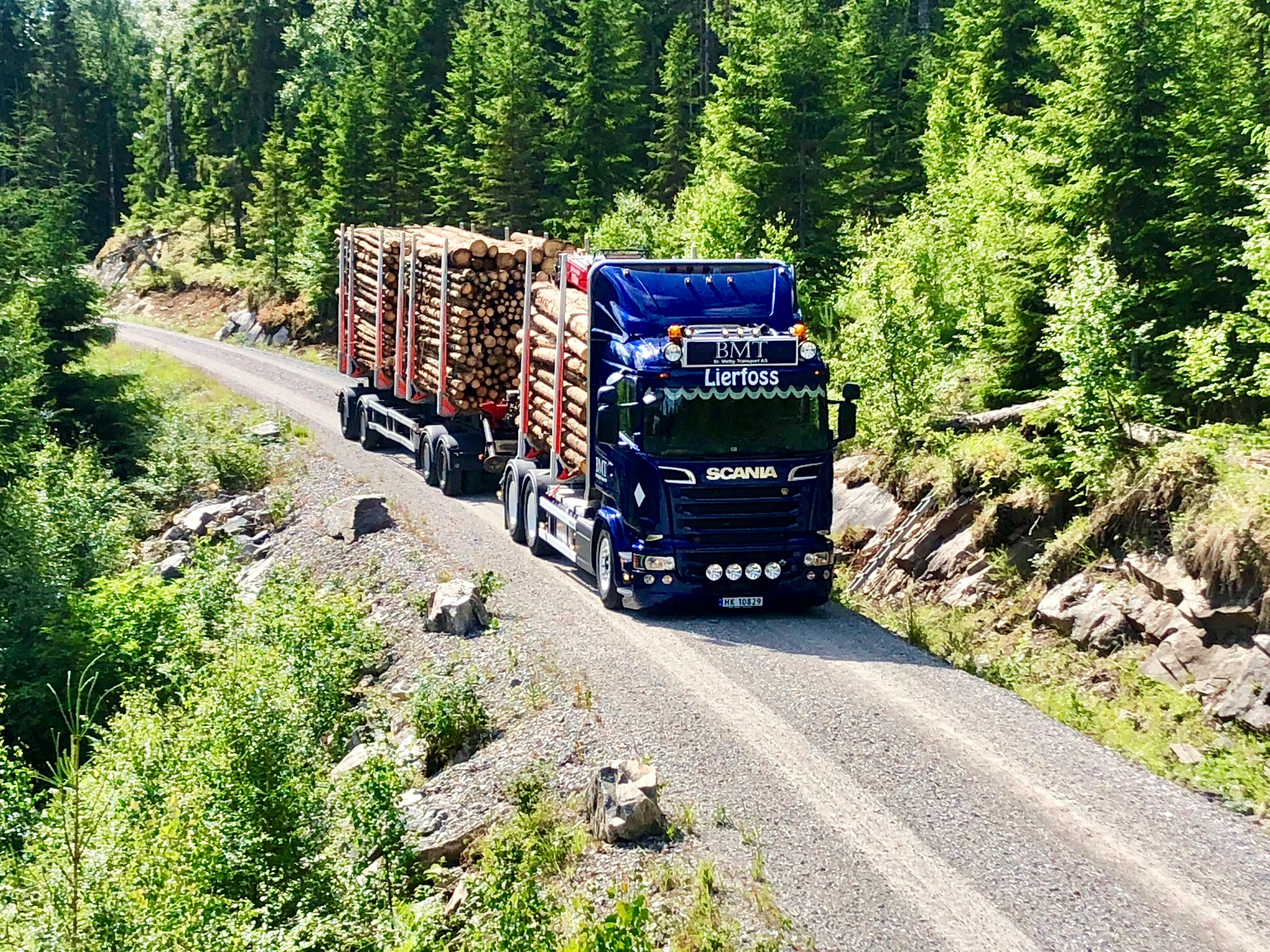 En tømmer bil lastet med tømmer kjører på en skogsbilvei.